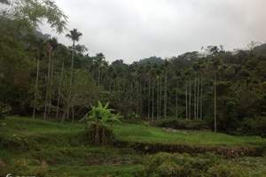 海南呀諾達雨林文化旅遊區