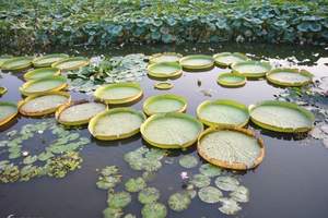 廈門南普陀寺