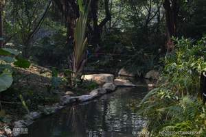 廣州長(cháng)隆野生動物園